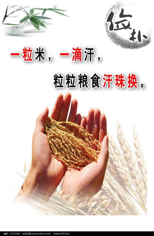 不动产证40年产权续期价格